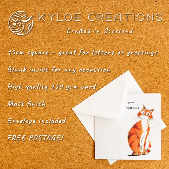 An information graphic describing birthday cards featuring cartoon ginger cats with funny captions. The same information is in the product description.